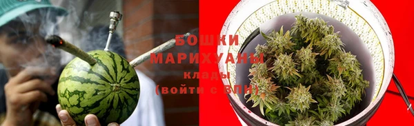 прущая мука Пересвет