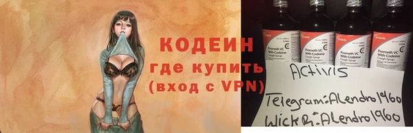 стаф Дмитриев