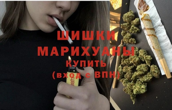 прущая мука Пересвет