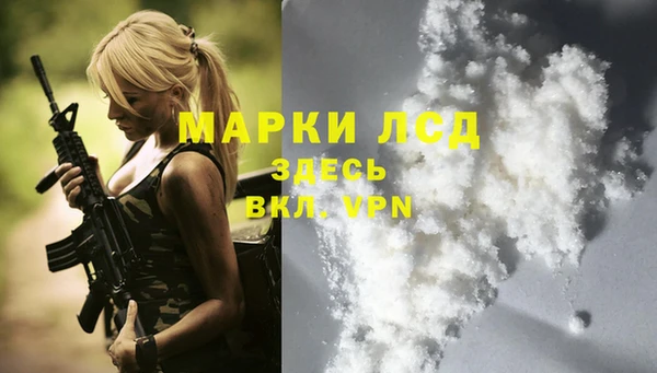 стаф Дмитриев