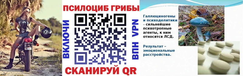 купить закладку  Пролетарск  Псилоцибиновые грибы Psilocybe 